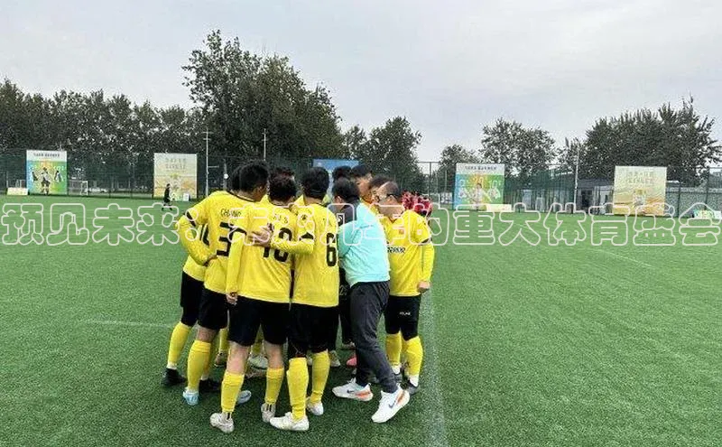 人人体育app直播下载每日互动预见未来：未来几年的重大体育盛会