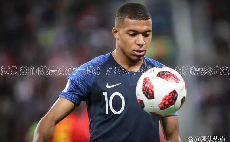 人人体育app安卓版