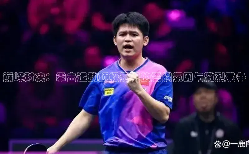 巅峰对决：拳击运动顶级赛事的震撼氛围与激烈竞争
